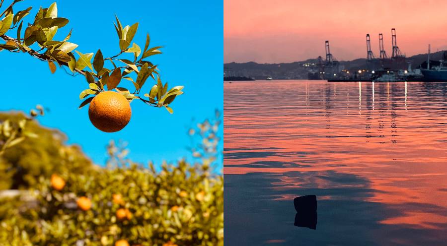 iPhone 13拍照的色彩技巧 iPhone 13拍照的色彩技巧